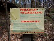 pomnik przyrody