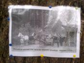 granica Wolnego Miasta Gdańska