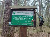 Czarna Woda