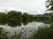 Przez bujną zieleń niewidoczne jeziorko.