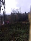 Widok na kirkut we Frysztaku