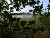 widok z miejsca ukrycia na jezioro