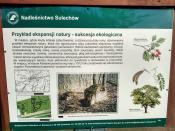 Etap 1 - stąd spisz hasło
