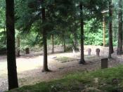 Widok na cmentarzyk z miejsca ukrycia
