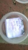 taki logbook