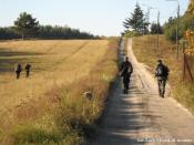 Ulica Kolonia - 2011 rok