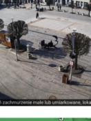fota okazjonalna