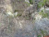 dokladne miejsce skrzyneczki