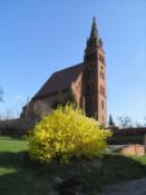 Kościół p.w. Świętej Trójcy w Wińsku