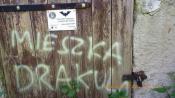 Dla nietoperków cisza dzienna!