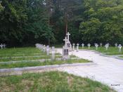 Czerwiec 2023