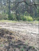 Widok z miejsca ukrycia