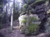 odsłonięcie geologiczne