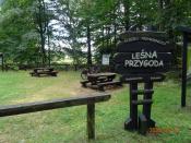 Leśna przygoda