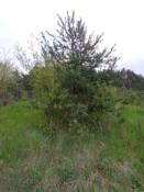 received_622077536124351