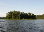 Wianek