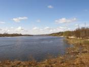 Narew