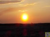 Zachód słońca nad pustynią.