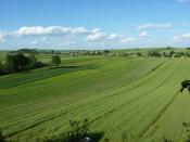 Widok z góry