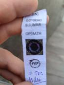 zapomnielismy pisadła