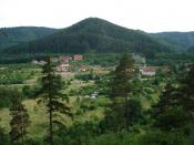Widok na Górę Borową