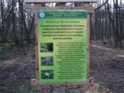 Trochę dodatkowych informacji o rezerwacie:)