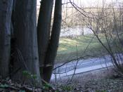 widok na kirkut z okolic skrzynki