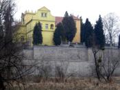 Na wzgórzu wśród bagien