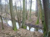 3-Na wprost