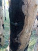 Epickie maskowanie 1