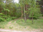 piąta dróżka