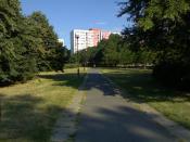 Widok na główną aleję
