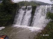 Zdjęcie zrobione z miejsca ukrycia