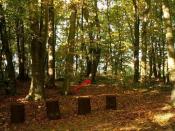 Fota od strony ściezki zdrowia.