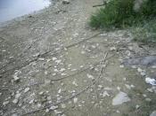 Musisz przez to miejsce przejść...