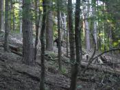 pod rowerem