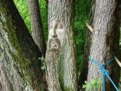 Duch drzew / Wood Spirit