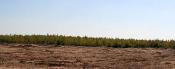 Pustynne Klimaty