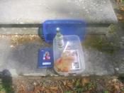 Zawartość skrzynki przed wymianą