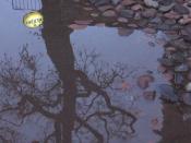 Na ulicy kawałek dalej