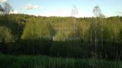 Widok z torów