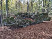 IMG_20221016_143550