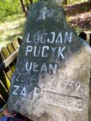 płyta2
