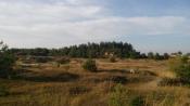 plac 1