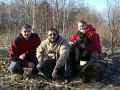 trojka+pies na skrzynki