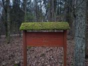 Tablica, w tle okolice kesza