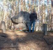 Jest 