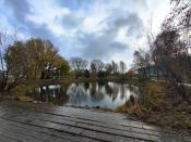 stawek (1)