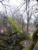 Oderstellung_256