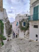 IMG_20251018_114558972_HDR_AE